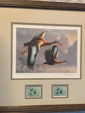 1989 Migratory Bird Hunting Duck Stamp Printd